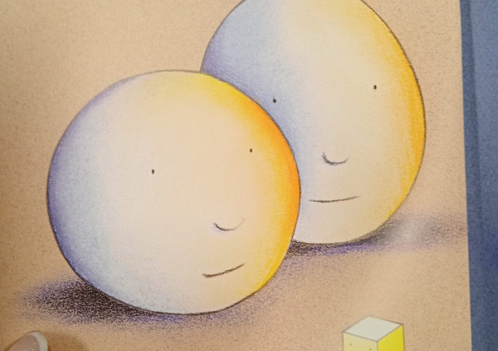 whatsapp image 2026-01-16 at 22.47.23 5